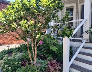 8 Lafayette St, Arlington, Massachusetts, 6 Bedrooms Bedrooms, 15 Rooms Rooms,4.5 BathroomsBathrooms,Residential Income,For Sale,Lafayette St,73498918