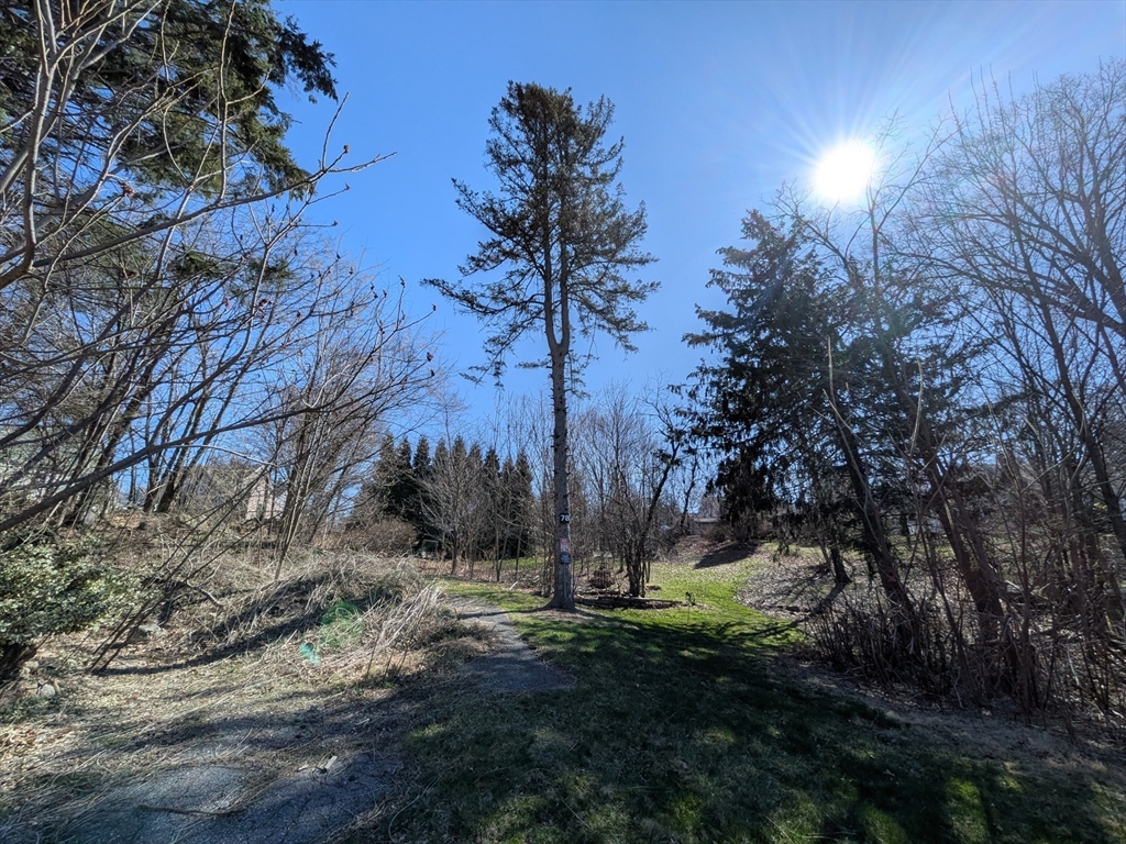 78 Leeds St, Worcester, Massachusetts, ,Land,For Sale,Leeds St,73499881