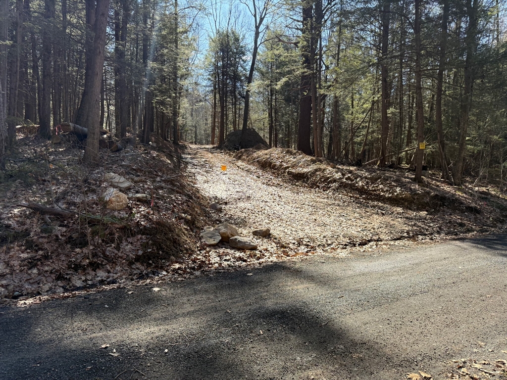 0 Old Chester Rd (Rear), Blandford, Massachusetts, ,Land,For Sale,Old Chester Rd (Rear),73499905