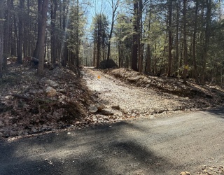 0 Old Chester Rd (Rear), Blandford, Massachusetts, ,Land,For Sale,Old Chester Rd (Rear),73499905