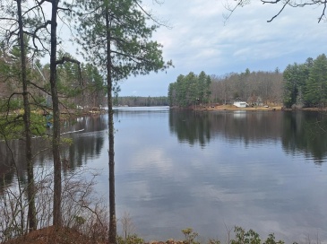 99 Lakeshore Dr, Spencer, Massachusetts, 4 Bedrooms Bedrooms, 8 Rooms Rooms,2 BathroomsBathrooms,Residential Income,For Sale,Lakeshore Dr,73500060