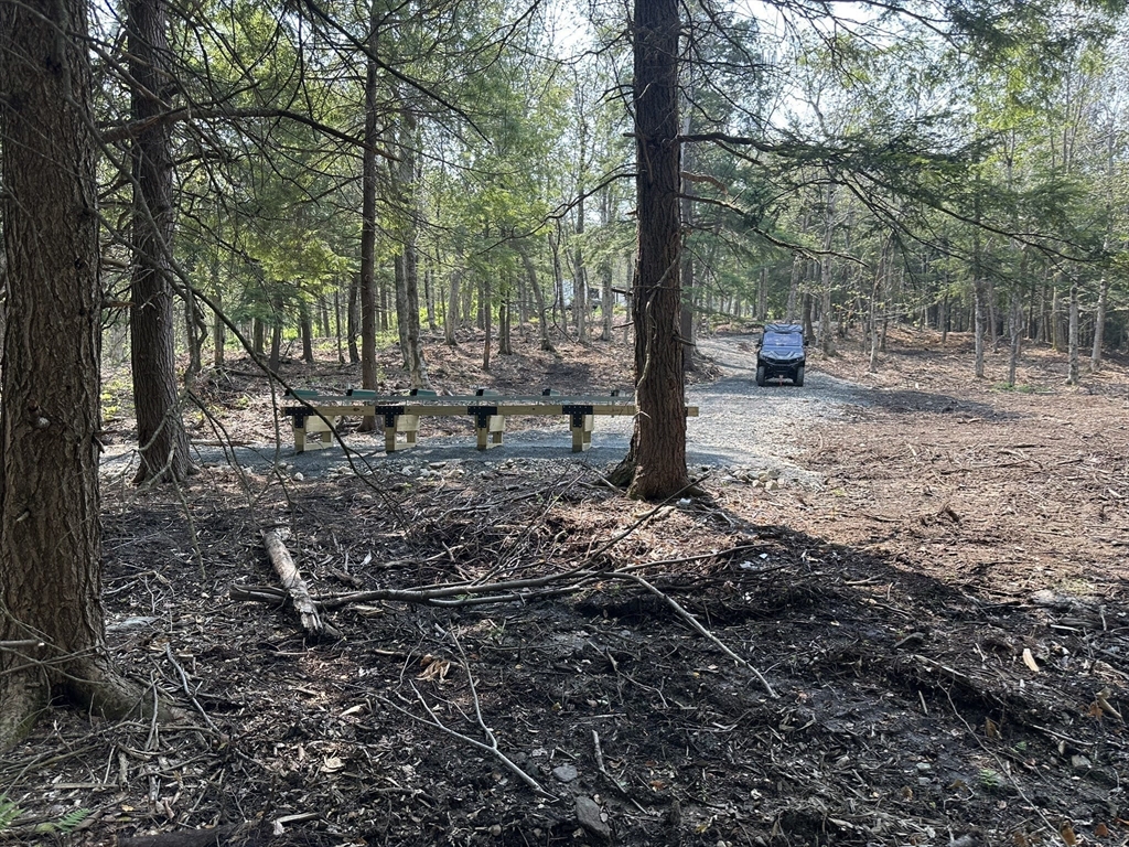 462 Old North Road, Worthington, Massachusetts, ,Land,For Sale,Old North Road,73500105