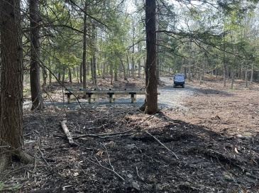 462 Old North Road, Worthington, Massachusetts, ,Land,For Sale,Old North Road,73500105