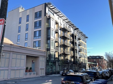 257 Northampton St, Boston, Massachusetts, 1 Bedroom Bedrooms, 3 Rooms Rooms,1 BathroomBathrooms,Residential Lease,For Rent,Northampton St,73500390 257 Northampton St, Boston, Massachusetts, 1 Bedroom Bedrooms, 3 Rooms Rooms,1 BathroomBathrooms,Residential Lease,For Rent,Northampton St,73500390
