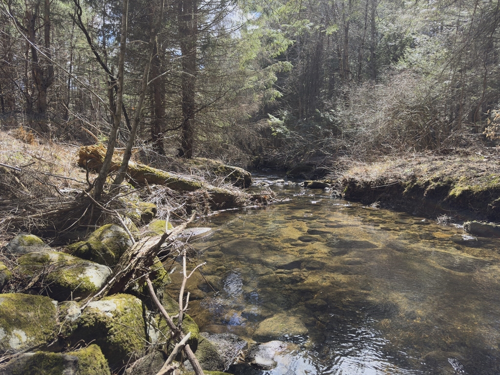 151 Ashfield Road, Williamsburg, Massachusetts, ,Land,For Sale,Ashfield Road,73500843