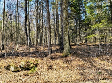 lot 16/11 Porcupine Courts, Becket, Massachusetts, ,Land,For Sale,Porcupine Courts,73501052