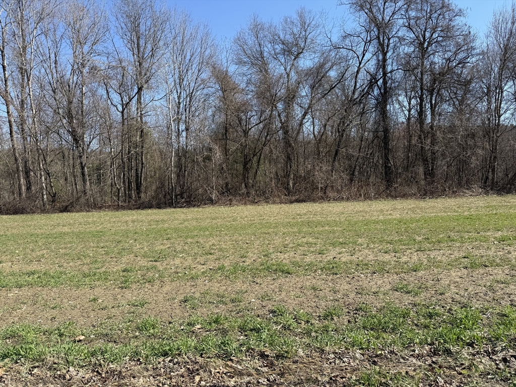 277 River Drive, Hadley, Massachusetts, ,Land,For Sale,River Drive,73501112