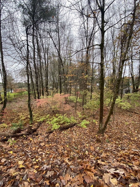 3057 Foster St, Palmer, Massachusetts, ,Land,For Sale,Foster St,73449432