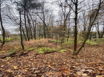 3057 Foster St, Palmer, Massachusetts, ,Land,For Sale,Foster St,73449432