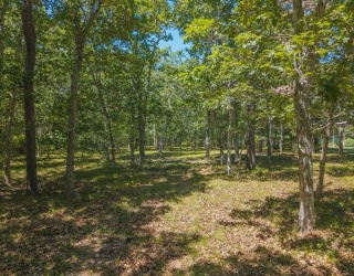 4 Wilsons Lane, Edgartown, Massachusetts, ,Land,For Sale,Wilsons Lane,73501270