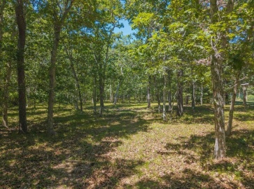 4 Wilsons Lane, Edgartown, Massachusetts, ,Land,For Sale,Wilsons Lane,73501270