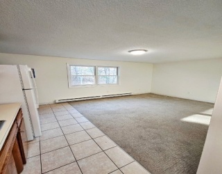 17 Wysocki Dr, Dudley, Massachusetts, 1 Bedroom Bedrooms, 3 Rooms Rooms,1 BathroomBathrooms,Residential Lease,For Rent,Wysocki Dr,73501494