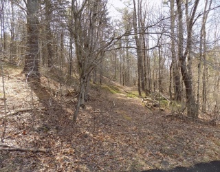 0 Summit Hill Rd. Lot 3, Washington, Massachusetts, ,Land,For Sale,Summit Hill Rd. Lot 3,73501625