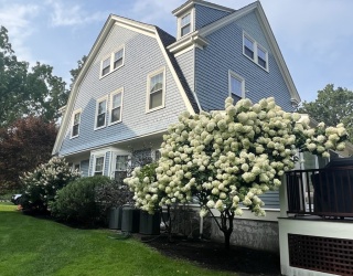34 Glen Road, Winchester, Massachusetts, 7 Bedrooms Bedrooms, 12 Rooms Rooms,3.5 BathroomsBathrooms,Residential Lease,For Rent,Glen Road,73501557