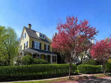 6 Mercer Circle, Cambridge, Massachusetts, 4 Bedrooms Bedrooms, 13 Rooms Rooms,4 BathroomsBathrooms,Residential,For Sale,Mercer Circle,73502038