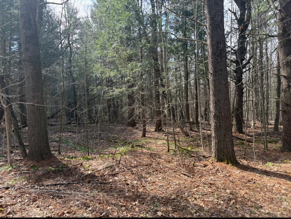 0 Island Acres Rd, Blandford, Massachusetts, ,Land,For Sale,Island Acres Rd,73501772