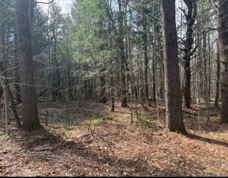 0 Island Acres Rd, Blandford, Massachusetts, ,Land,For Sale,Island Acres Rd,73501772