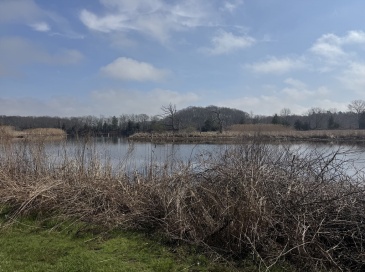 1721-1731 Somerset Ave, Dighton, Massachusetts, ,Land,For Sale,Somerset Ave,73502852