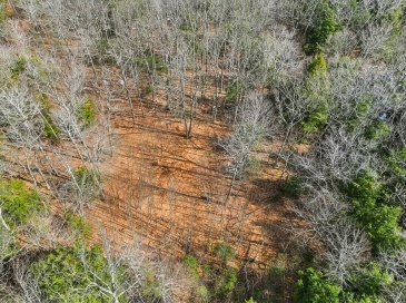 8 Hemlock Rd, Tyringham, Massachusetts, ,Land,For Sale,Hemlock Rd,73502769