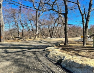 126 Burbank Rd Lot 1, Sutton, Massachusetts, ,Land,For Sale,Burbank Rd Lot 1,73460024