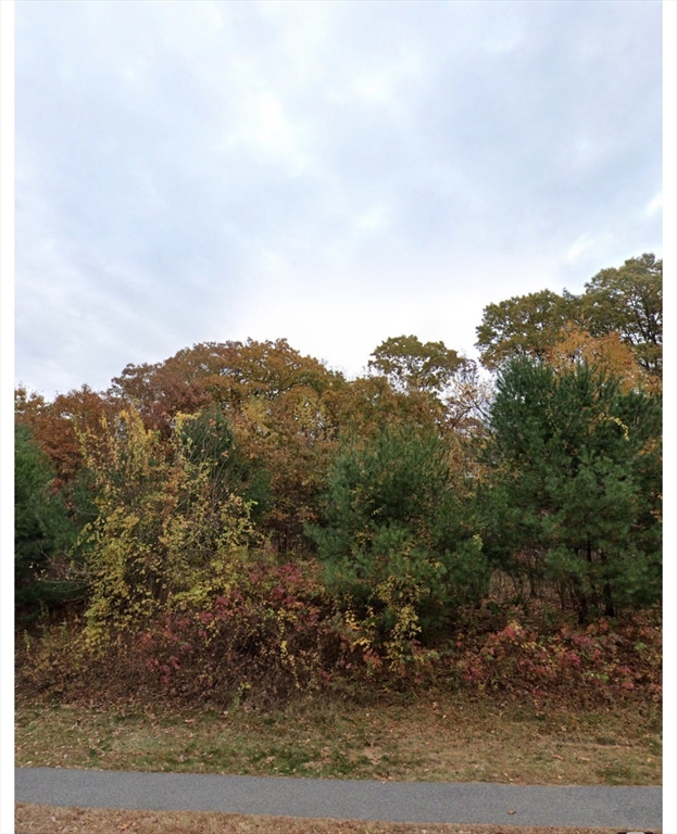 119 Independent Ln, Ashland, Massachusetts, ,Land,For Sale,Independent Ln,73503186