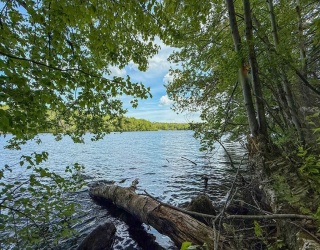 18 Osceola Rd, Becket, Massachusetts, 1 Bedroom Bedrooms, 3 Rooms Rooms,1 BathroomBathrooms,Residential,For Sale,Osceola Rd,73503459