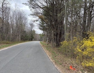 87 South St, Plainfield, Massachusetts, ,Land,For Sale,South St,73503859