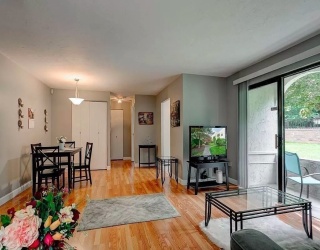 120 Fellsview Ter, Stoneham, Massachusetts, 1 Bedroom Bedrooms, 3 Rooms Rooms,1 BathroomBathrooms,Residential Lease,For Rent,Fellsview Ter,73500103