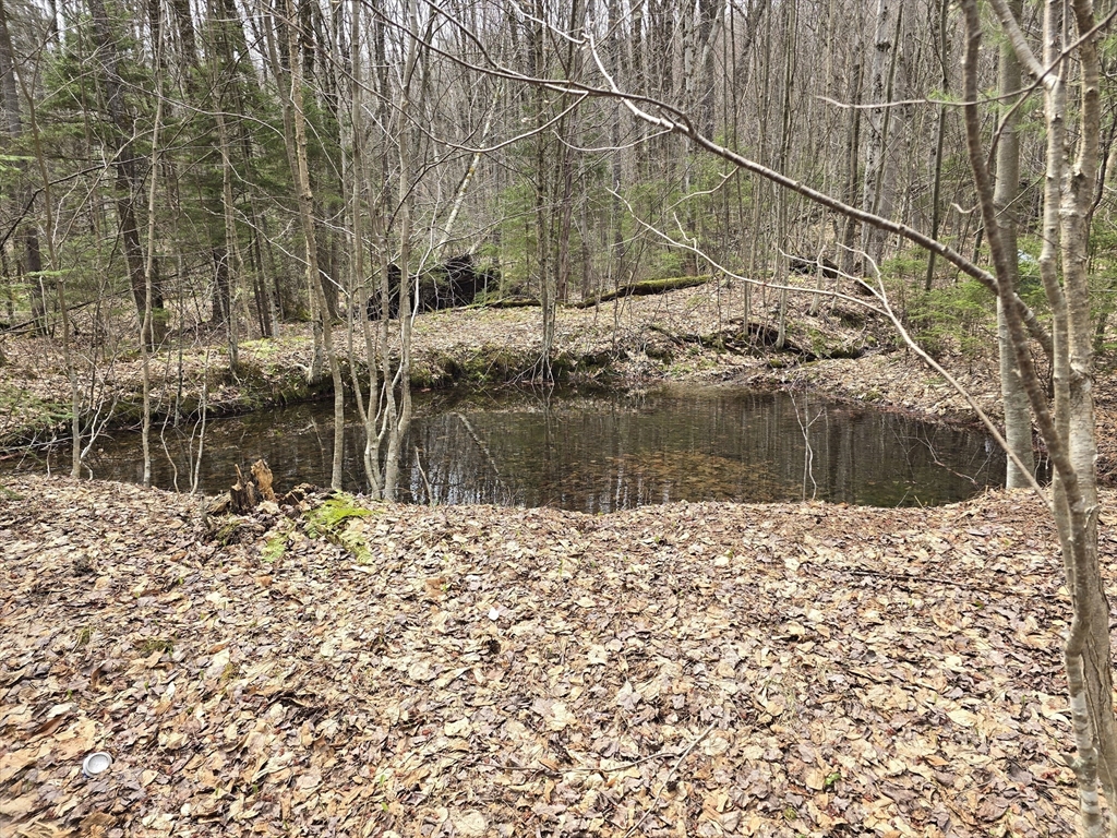 0 Magee Rd, Stamford, Vermont, ,Land,For Sale,Magee Rd,73504013