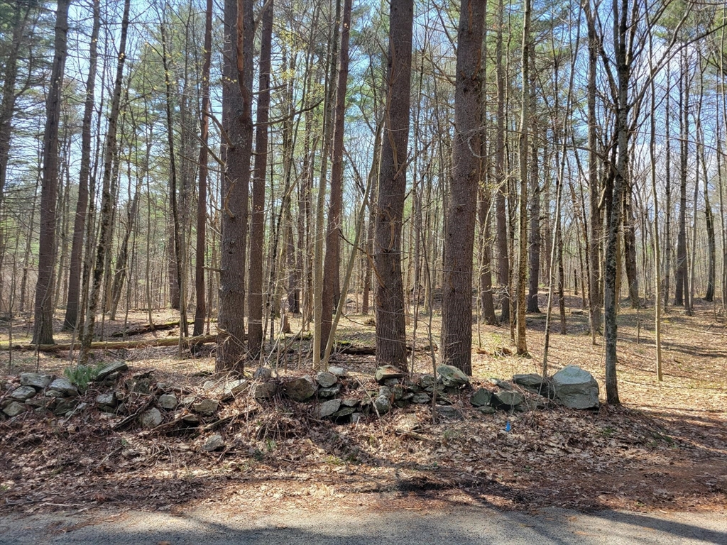 Lot 3 Daniels Rd, Charlton, Massachusetts, ,Land,For Sale,Daniels Rd,73504019