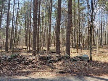 Lot 3 Daniels Rd, Charlton, Massachusetts, ,Land,For Sale,Daniels Rd,73504019