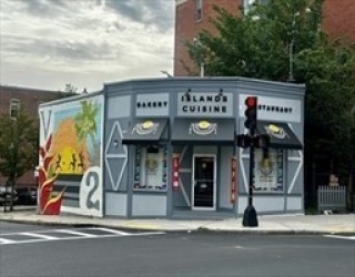 554 Dudley, Boston, Massachusetts, ,Commercial Sale,For Sale,Dudley,73504381