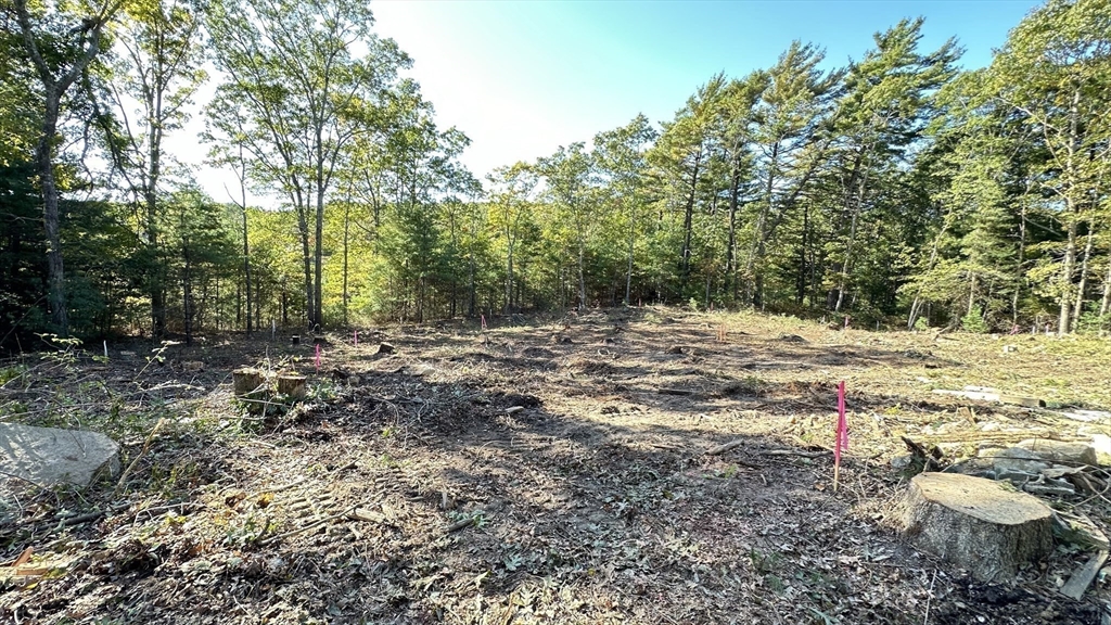 221 Beaver Dam Rd, Plymouth, Massachusetts, ,Land,For Sale,Beaver Dam Rd,73504656