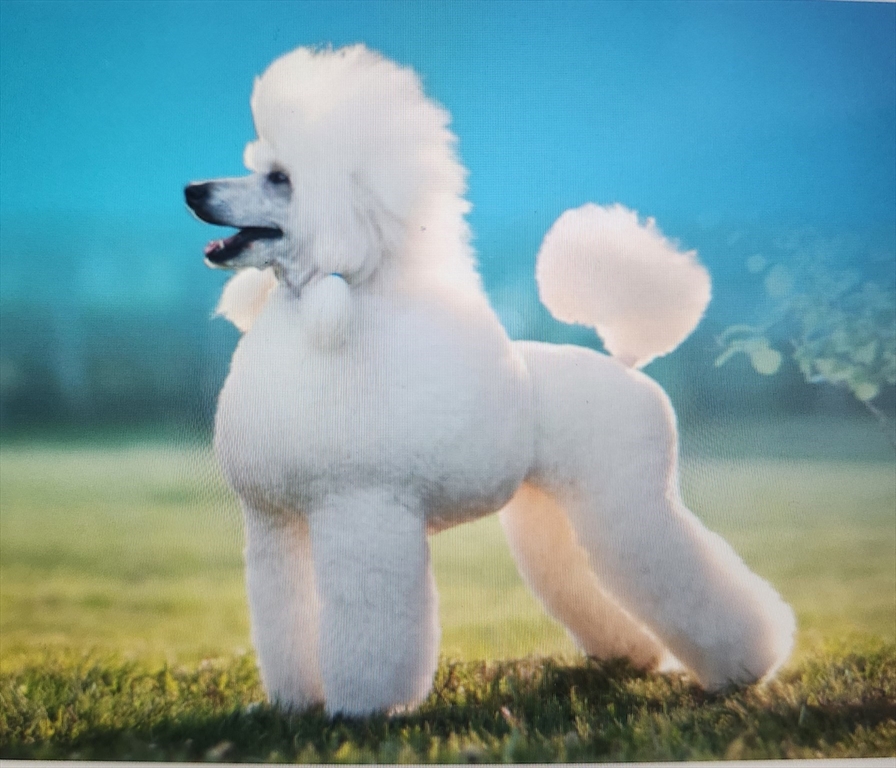 0 Confidential Way, Lynnfield, ,Business Opportunity,For Sale,Confidential Way,73504602