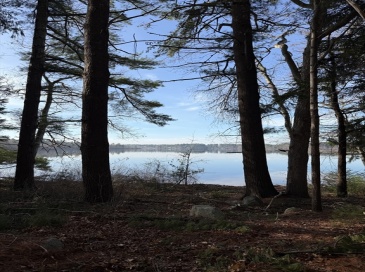 16 South Main Street, Carver, Massachusetts, ,Land,For Sale,South Main Street,73505138