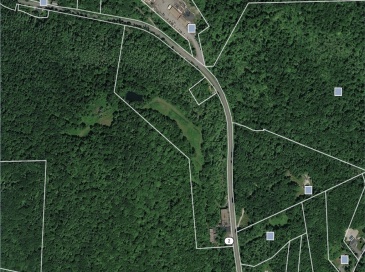 20 Forest St, Lee, Massachusetts, ,Land,For Sale,Forest St,73505385