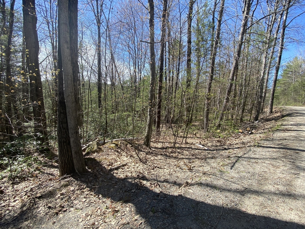Lot 23-25 Hawk Hill Rd, Charlemont, Massachusetts, ,Land,For Sale,Hawk Hill Rd,73505685