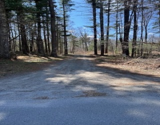 235 Yew, Douglas, Massachusetts, ,Land,For Sale,Yew,73506175