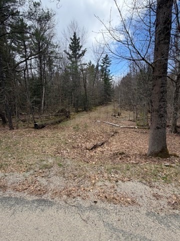 0 Tunnel Rd, Rowe, Massachusetts, ,Land,For Sale,Tunnel Rd,73506199