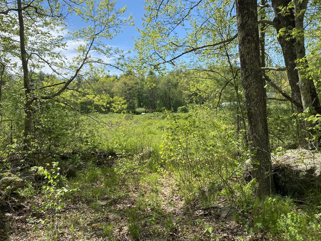lt3 West Rd, New Braintree, Massachusetts, ,Land,For Sale,West Rd,73480397