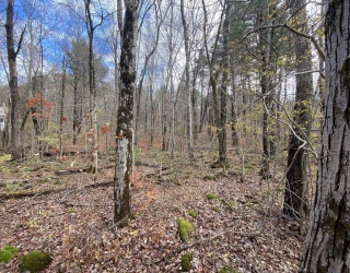 Lot 3 Washington Rd, Brimfield, Massachusetts, ,Land,For Sale,Washington Rd,73450079