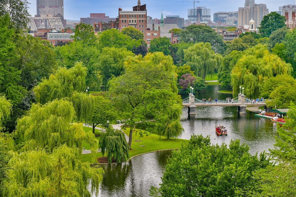 250 Boylston Street, Boston, Massachusetts, 4 Bedrooms Bedrooms, 9 Rooms Rooms,3.5 BathroomsBathrooms,Residential,For Sale,Boylston Street,73506276