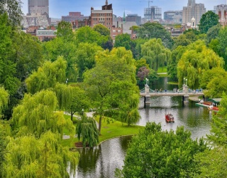 250 Boylston Street, Boston, Massachusetts, 4 Bedrooms Bedrooms, 9 Rooms Rooms,3.5 BathroomsBathrooms,Residential,For Sale,Boylston Street,73506276