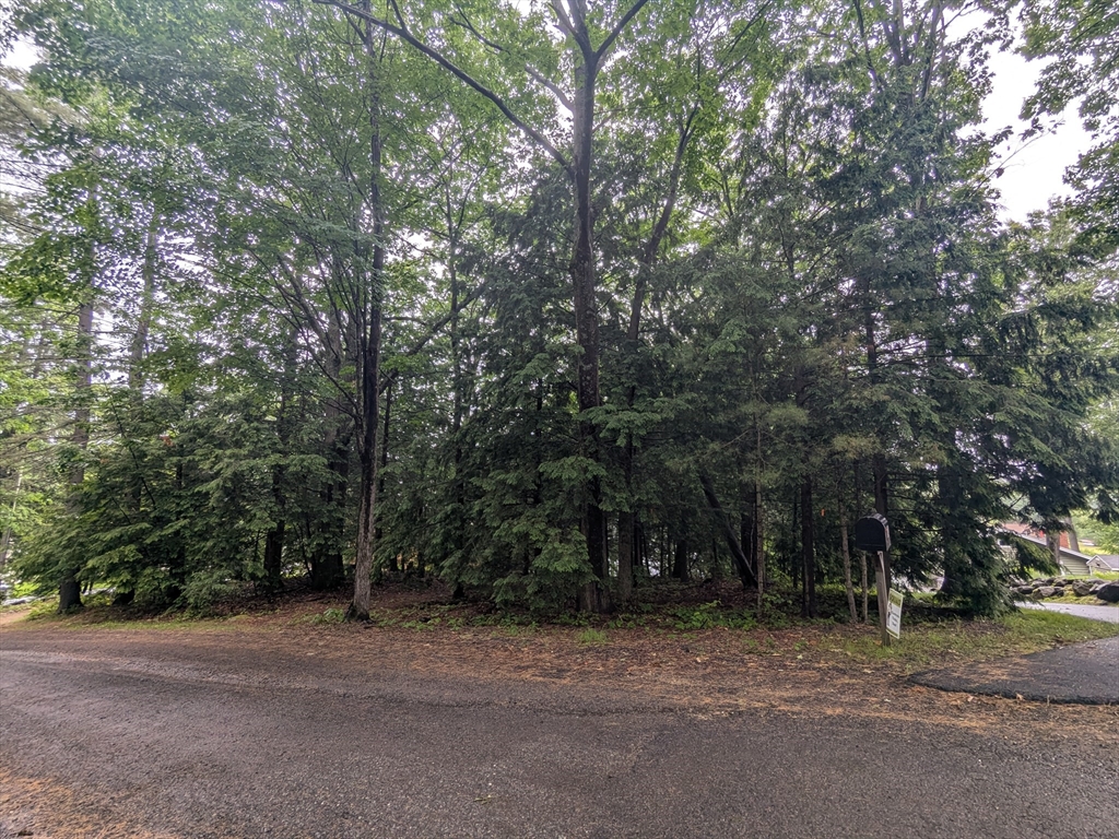 0 Winding Cove Rd, Ashburnham, Massachusetts, ,Land,For Sale,Winding Cove Rd,73431444