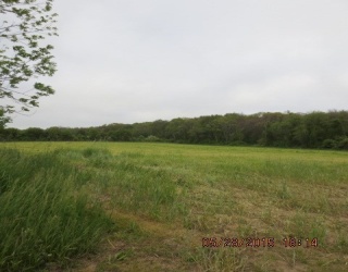 978 Sodom Rd, Westport, Massachusetts, ,Land,For Sale,Sodom Rd,73205954