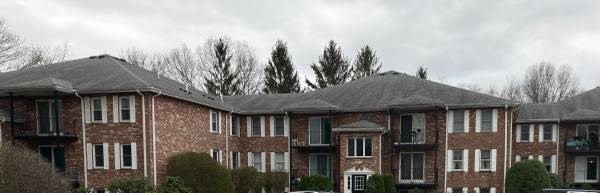 348 Neponset St, Canton, Massachusetts, 2 Bedrooms Bedrooms, 5 Rooms Rooms,1 BathroomBathrooms,Residential,For Sale,Neponset St,73506858