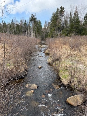 0 Number 9 Rd, Heath, Massachusetts, ,Land,For Sale,Number 9 Rd,73506891