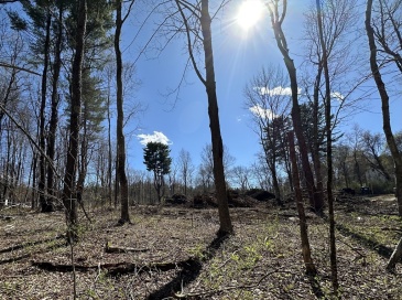 22 Hilliard Road, Kensington, New Hampshire, ,Land,For Sale,Hilliard Road,73507213