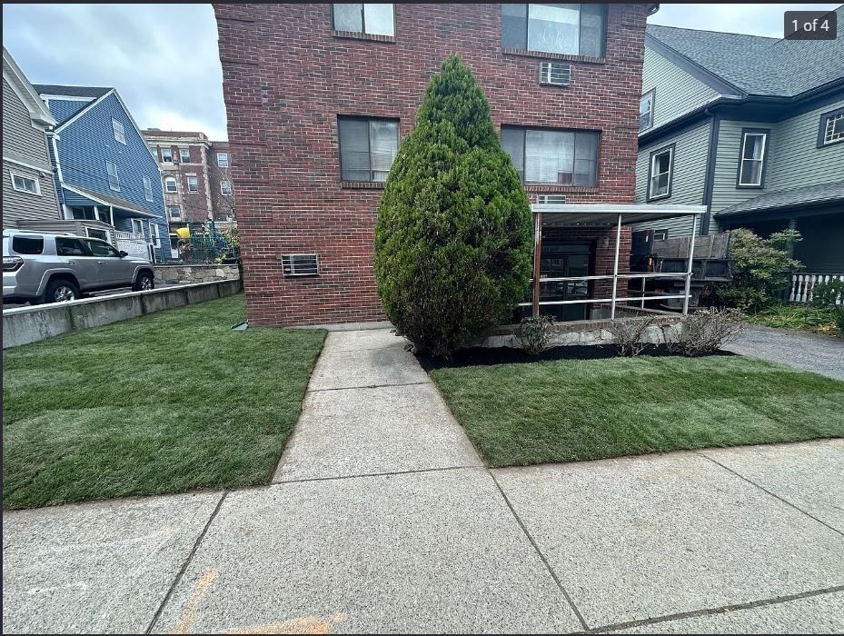 136 School, Somerville, Massachusetts, 1 Bedroom Bedrooms, 2 Rooms Rooms,1 BathroomBathrooms,Residential Lease,For Rent,School,73507505