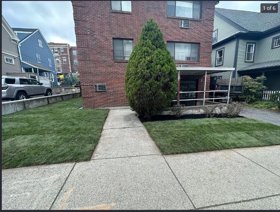 136 School, Somerville, Massachusetts, 1 Bedroom Bedrooms, 2 Rooms Rooms,1 BathroomBathrooms,Residential Lease,For Rent,School,73507508